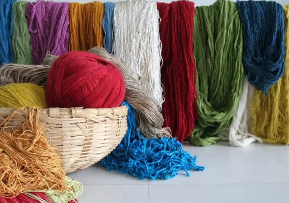 کالبدشکافی الیاف و مواد اولیه